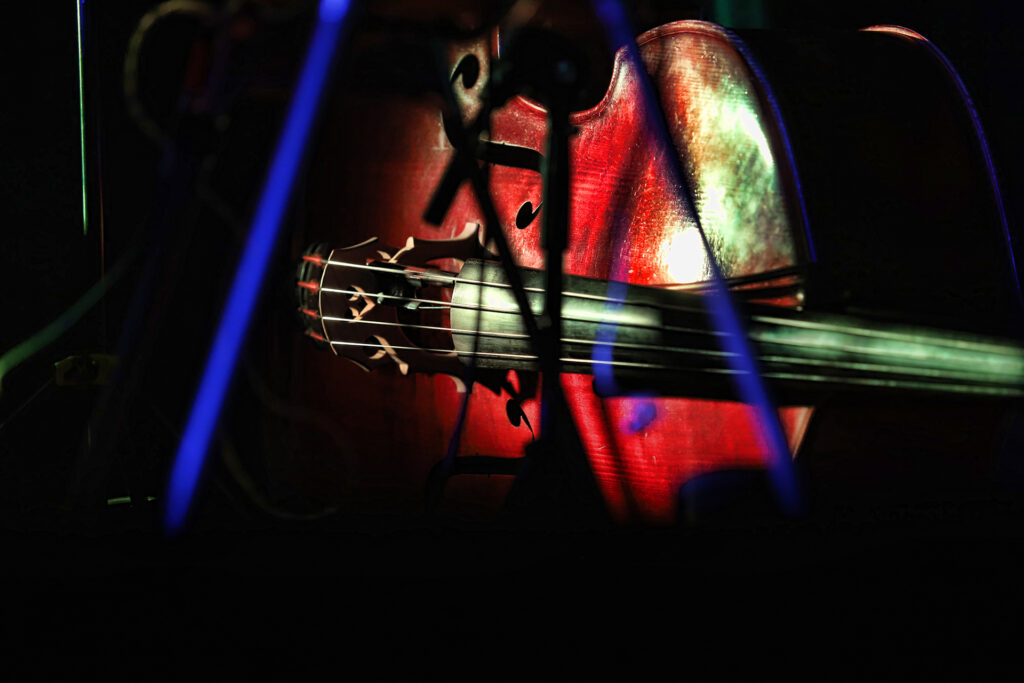 Carmine Padula in concerto